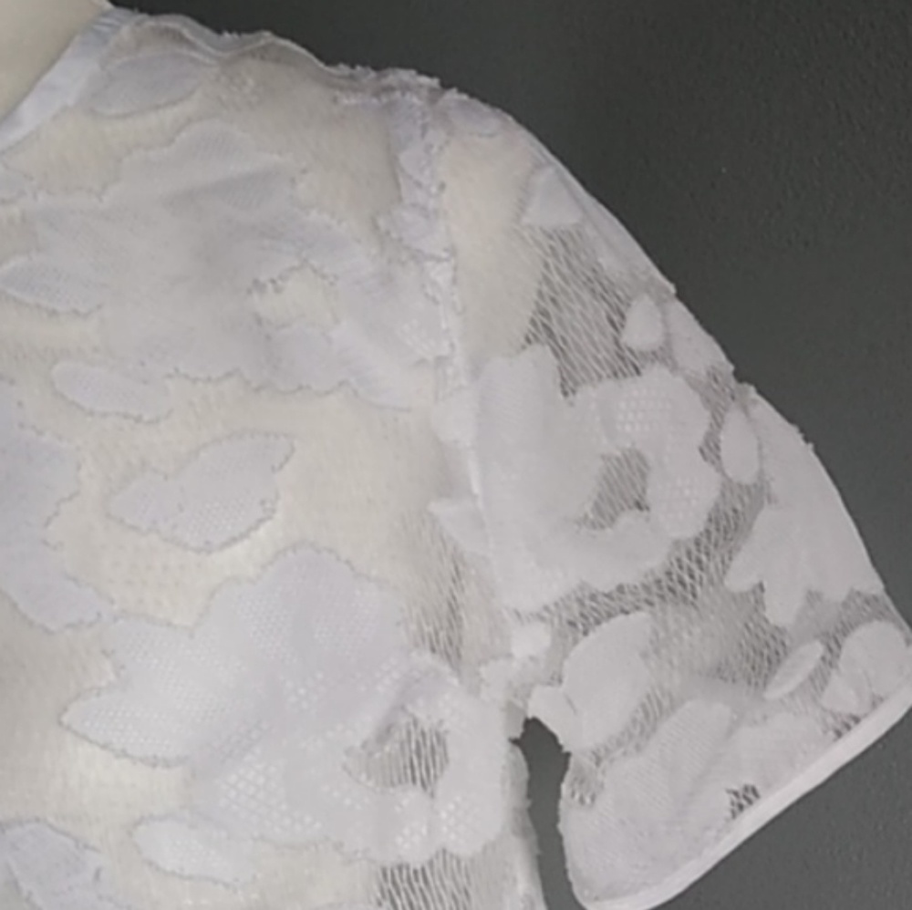 Cato Sheer Lace Top